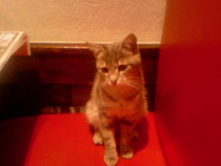 encore ma cherie 